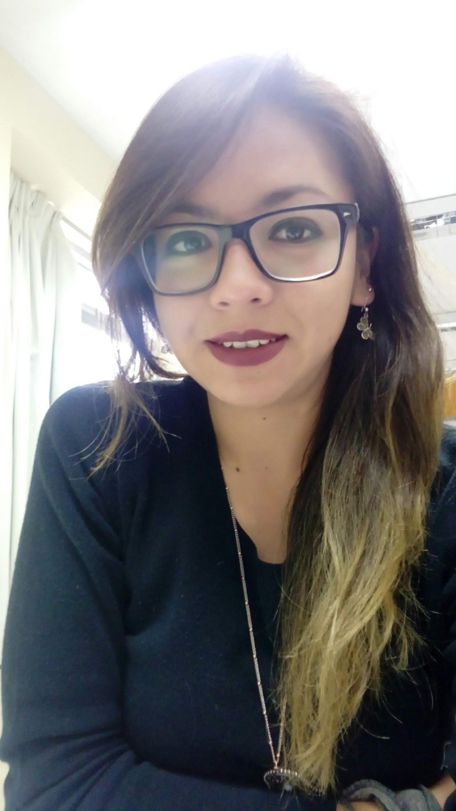 Ing. Viviana Lisset Angulo Zavaleta