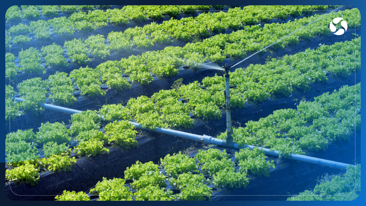 CURSO DE ESPECIALIZACIÓN EN SISTEMAS DE RIEGO